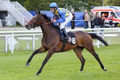 Elle Same mit Andrasch Starke beim Aufgalopp in Hamburg. www.galoppfoto.de - Frank Sorge