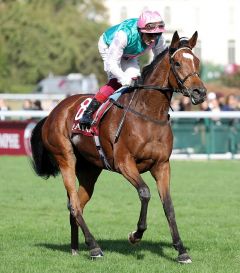 Enable und Frankie Dettori beim Aufgalopp zum Versuch, den Arc zum dritten Mal zu gewinnen - sie wurde Zweite zu Waldgeist - Foto: Dr. Jens Fuchs