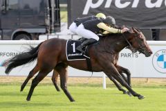 Evangelista macht sich lang und gewinnt mit Wladimir Panov das 2yo-Maiden in Hannover. ©galoppfoto - Sabine Brose