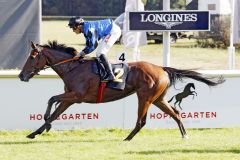 Fosun siegt mit Martin Seidl in Hoppegarten. www.galoppfoto.de - Sabine Brose