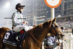 Für Girolamo mit Andrasch Starke sprang in Dubai Sheema Classic nur ein 8. Platz heraus. www.galoppfoto.de - Frank Sorge