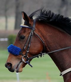 Gainsborough Hat am 24.3.2019 in Düsseldorf - Foto: Dr. Jens Fuchs