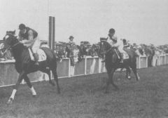 Gestüt Schlenderhans Ariel gewinnt das Derby 1914. Foto: www.galopp-hamburg.de