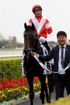 Exotischer Sieger im Australian Derby: Mongolian Khan im Besitz der  Inner Mongolia Rider Horse Industry Company mit Opie Bosson im Sattel. Foto: Claudia von der Recke