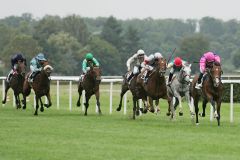 Gleich zwei Derbystarter 1-2: See The Rock (r.) mit Eduardo Pedroza vor Saratino mit Harry Bentley, hinter Blue Wave folgt mit dem Schimmel Erlkönig ein weiterer Derby-Teilnehmer auf Rang 4. www.galoppfoto.de - Sarah Bauer