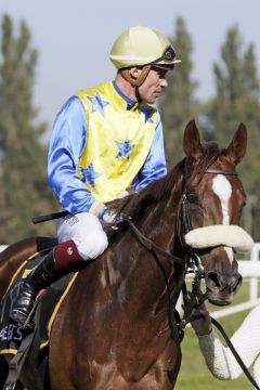 Golden Light mit Alexander Pietsch nach dem Sieg im Dortmunder Maiden. ©galoppfoto - Stephanie Gruttmann