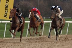 Golden Tango gewinnt mit Tommaso Scardino im Sattel beim Sandbahn-Finale 2019-2020 in Dortmund. www.galoppfoto.de - Stephanie Gruttmann