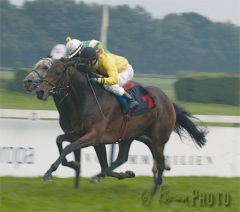 Gonbarda und Filip Minarik fighten Simonas mit Eduardo Pedroza in Großen Preis von Europa 2005 "nieder"