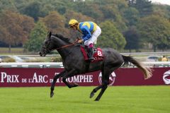 Guardini mit Christophe Soumillon beim Aufgalopp zum Prix Niel, Gr. II, in Longchamp 2014. Foto: Dr. Jens Fuchs2014-09-14 004. Longchamp Dr. Jens Fuchs