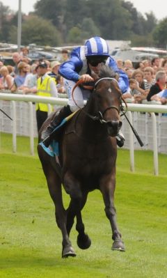 Hamdan Al Maktoums Entifaadha siegt unter Richard Hills in den sportingbet.com Acomb Stakes. Foto J. J. Clark