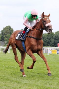 Isfahani beim Aufgalopp in Hamburg 2021. ©galoppfoto - Sabine Brose