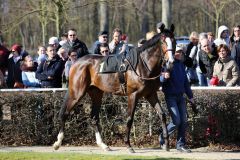 Ito im Krefelder Führring beim ersten Grasbahn-Renntag des Jahres 2015 in Krefeld. Foto: Dr. Jens Fuchs