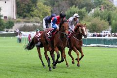 Ivanhowe beim Aufgalopp vor dem Prix de l'Arc de Triomphe. Foto: Dr. Jens Fuchs