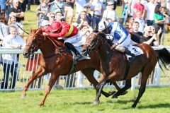 Heißes Finish in der 151. Casino Baden-Baden Goldene Peitsche: Kitty Marion, eine 5j. Iffraaj-Tochter, trainiert von Guillermo Elosegu, geritten von Vaclav Janacek kommt mit einem Hals Vorsprung vor Majestic Colt ins Ziel. ©galoppfoto - Frank Sorge