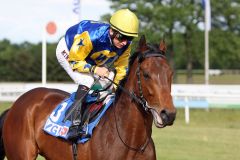 König Concorde mit Filip Minarik beim Aufgalopp in Hannover, Mai 2011. www.galoppfoto.de