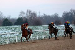 Königsadler siegt mit Rene Piechulek im RaceBets.com-Championspreis, Agl. II, am letzten Renntag des Jahres 2014 in Dortmund. Foto: Dr. Jens Fuchs