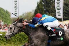 Laolita gewinnt  mit Michael Cadeddu in Leipzig. www.galoppfoto.de - Sabine Brose