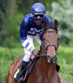 Lord Leoso beim Aufgalopp am 22.4.2018 in Krefeld - Foto: Dr. Jens Fuchs