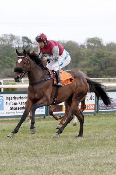 Louna Amica mit Bayarsaikhan Ganbat beim Aufgalopp in Magdeburg. www.galoppfoto.de- Frank Sorge