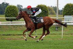 Mandoria am 18.09.2016 in Dortmund (Foto: Dr. Jens Fuchs)