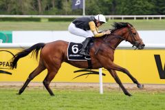 Marshmallow mit Bauyrzhan Murzabayev gewinnt in Hannover. ©galoppfoto - Sabine Brose