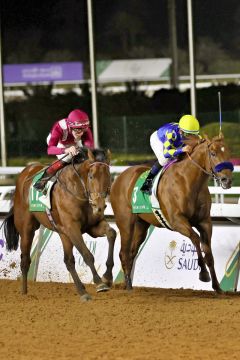 Mishriff mit David Egan nach dem Sieg in den Dubai Sheema Classic. ©galoppfoto - Frank Sorge