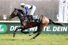 Mister Speaker mit Maxim Pecheur beim Aufgalopp in Hoppegarten 2023.©galoppfoto - Sabine Brose