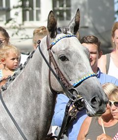 Naida am 4.8.2019 in Düsseldorf - Foto: Dr. Jens Fuchs