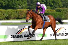 Nutan gewinnt mit Andrasch Starke im Dreijährigen-Rennen über 2.200 Meter. www.galoppfoto.de - Sandra Scherning