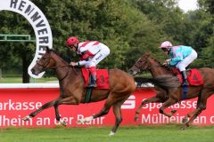 Löste ihre Aufgabe beim Debut leicht: Die Soldier Hollow-Tochter Nymeria siegte mit Alexander Pietsch für den Stall Grafenberg für Peace of Paradise (Eugen Frank). Foto: Dr. Jens Fuchs