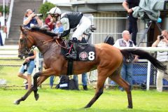 Ocean Diamond mit Carlos Henrique beim Aufgalopp in Hambnurg 2021. ©galoppfoto - Frank Sorge