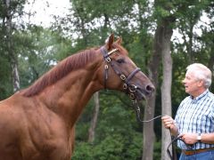 Sabiango im Gestüt Fährhof mit dem langjährigen Gestütsleiter Herbert Kahrs. www.dequia.de - Göldner