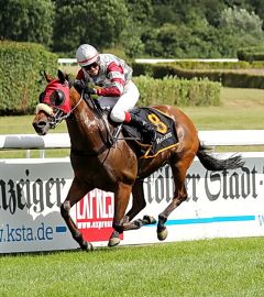 Pancho Villas gewinnt am 5.6.2017 Köln - Foto: Dr. Jens Fuchs