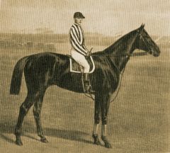 1891 Derbysieger Peter 