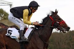 Pferd mit Fantasie in Richtung Derby: Der Monsun-Sohn Shimrano mit Adrie de Vries. www.galoppfoto.de - Sabine Brose