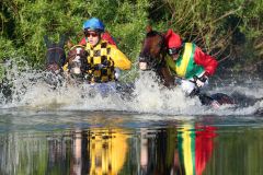 Pferde und Jockeys im See. Sieger Kazzio mit Cevin Chan links. www.galoppfoto.de - Frank Sorge