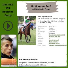 Geht mit der Nr. 11 ins IDEE 153. Deutsche Derby - Pirouz. ©galoppfoto 