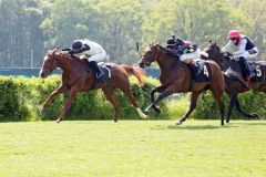 Primo Violetto (links) gewinnt mit Wladimir Panov am 14.05.2023 in Hoppegarten. ©galoppfoto - Sabine Brose