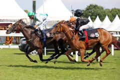 Red Lips mit Adrie de Vries gewinnt den Esso-Cup in Hamburg. www.galoppfoto.de - Sabine Brose