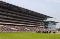 Rennbahn Tokyo - das Feld vor der Tribüne. www.franknolting.com