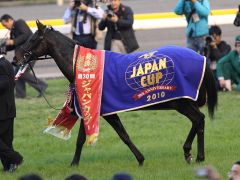 Rose Kingdom, Sieger im Japan Cup 2010. Foto: Kazushi Ishida