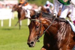 Sea The Moon auf dem Weg zum Derby-Triumph, die Konkurrenz - im Hintergrund Lucky Lion - hat das Nachsehen. Foto: Dr. Jens Fuchs