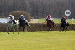 Sorgte gegen die großen Rennställe für die Überraschung: Kimberley's Dream mit Dennis Schiergen gewinnt beim Debüt. www.galoppfoto.de - Sabine Brose