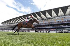 Star Catcher gewinnt unter Frankie Dettori die Ribblesdale Stakes. www.galoppfoto.de 