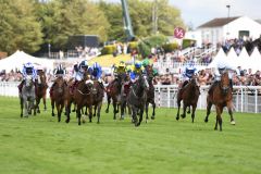 Suesa (re.) pulverisiert die Konkurrenz in den King George Stakes. Foto: courtesy by Goodwood racecourse 