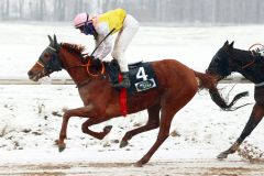 Sunny Star gewinnt mit Sean Byrne das erste Rennen des zweiten Dortmunder Renntages in 2023. ©galoppfoto - Stephanie Gruttmann