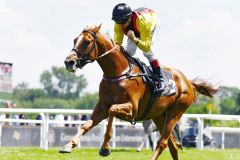 Verabschiedet sich auf der Zielgerade von der Konkurrenz: Torquator Tasso gewinnt mit Rene Piechulek den Hansa Preis, Gr. II. ©galoppfoto - Jimmy Clark