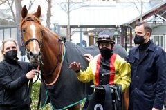 "Einer meiner besten Dreijährigen", sagte Trainer Marcel Weiß schon vor dem Rennen: Der Auenqueller Vallando ließ diesen Wort mit Lukas Delozier im Sattel Taten folgen. www.galoppfoto.de - Sandra Schering 