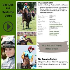 Geht mit der Nr. 3 ins IDEE 153. Deutsche Derby - Wagnis. ©galoppfoto - Turf-Times - Dr. Jens Fuchs