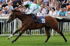 Wai Key Star mit Eduardo Pedroza gewinnt das Ittlingen Derby-Trial. www.galoppfoto.de - Sarah Bauer